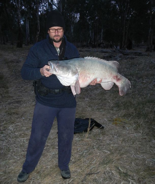 Cod fisher caught out of season